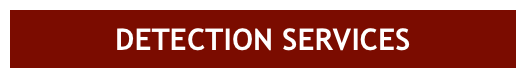 DETECTION SERVICES